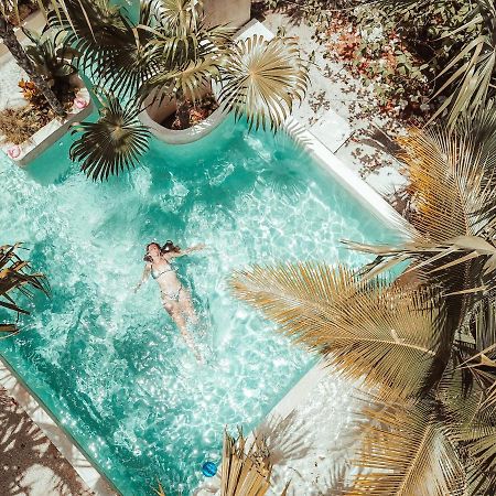 Hotel Buenavista Bacalar Jungle Experience Exterior photo