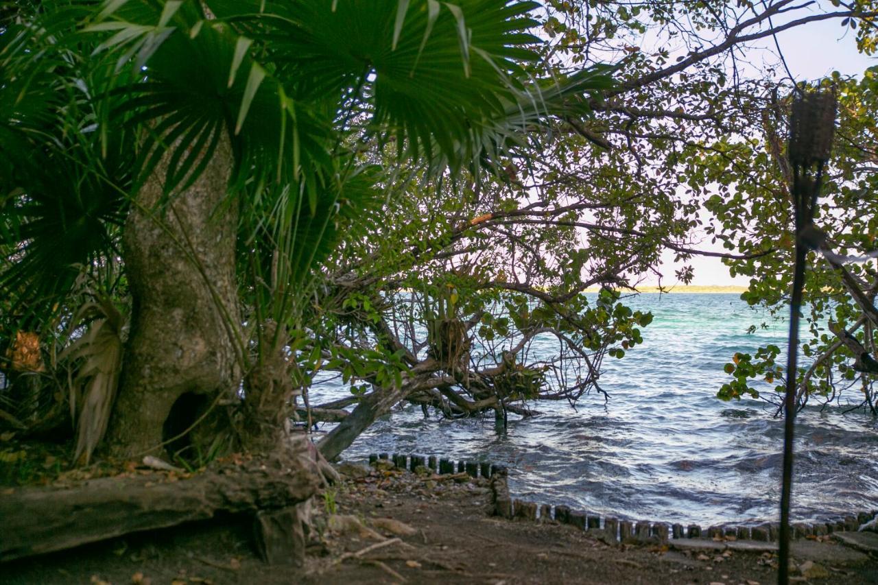 Hotel Buenavista Bacalar Jungle Experience Exterior photo