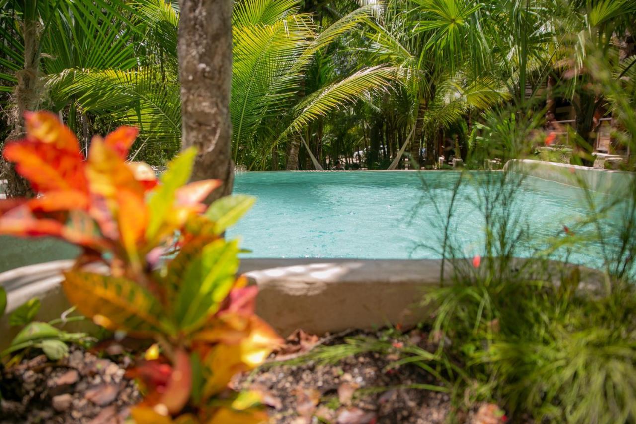 Hotel Buenavista Bacalar Jungle Experience Exterior photo