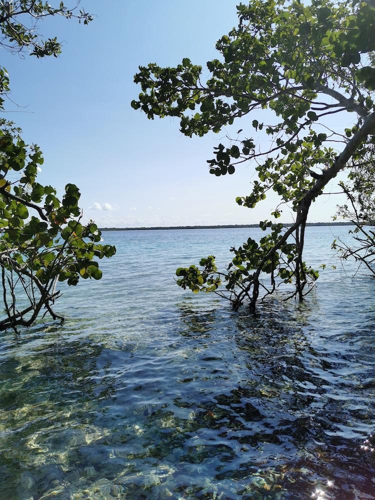 Hotel Buenavista Bacalar Jungle Experience Exterior photo